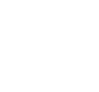 Wheelcog Logo